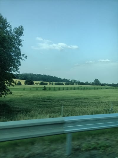This media file captures a scenic view of a rural landscape in Divišov, Czechia. The scene is dominated by vast agricultural fields, primarily appearing as green crops, stretching towards a dense line of trees that forms the horizon. The sky above is a clear, light blue with a few wispy white clouds, suggesting fair weather, likely during the daytime.
In the foreground, a metallic guardrail runs horizontally across the frame, indicating the perspective is from a moving vehicle, possibly a car or train. The slight blur in the foreground elements suggests motion. On the left side of the image, the dark green foliage of a large tree is partially visible, its leaves blurred due to movement.
The landscape is characterized by gentle rolling hills, evident from the way the fields and tree line recede into the distance. A series of evenly spaced small trees or saplings are planted in a line across one of the fields, adding a touch of human cultivation to the natural scenery. Power lines are also faintly visible, stretching across the fields.
The overall impression is one of tranquility and natural beauty, typical of a countryside setting in the Czech Republic. The time of day appears to be late morning or early afternoon, given the bright, diffused light. There is no visible text in the image.