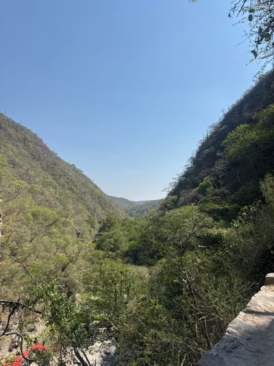 The image shows a canyon landscape near San Miguel Atlapulco, Mexico. The view is angled upwards, showcasing the canyon walls covered in dense vegetation. The vegetation varies from sparse, dry-looking shrubs to lush green trees. The sky is clear and light blue. In the foreground, the rocky edge of the canyon is visible, with scattered vegetation and some red fabric or material visible. The overall scene depicts a natural environment with varying vegetation types and a clear sky.
