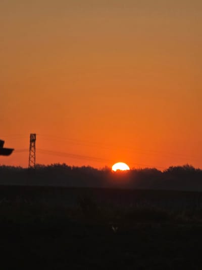 The image shows a sunset over a field in Kitzscher, Germany. The sun is partially obscured by a tree line, casting a warm orange glow across the sky. A silhouette of a power line tower is visible on the left side of the frame, with power lines stretching across the scene. The foreground is a dark, silhouetted field, likely agricultural land. The overall mood is peaceful and serene, capturing the beauty of a rural sunset.