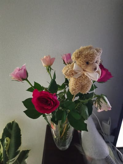 A vase filled with roses and a small teddy bear is displayed against a gray wall in a dimly lit room. The roses are various shades of pink, red, and white, with some in bloom and others beginning to wilt. The teddy bear, light brown and fluffy, wears a white ribbon bow around its neck and is positioned among the flowers. To the left of the vase, a variegated plant with green and cream leaves is visible. The scene appears to be indoors, likely in a residential setting. The specific location in the city of Most, Czechia cannot be determined from the image.