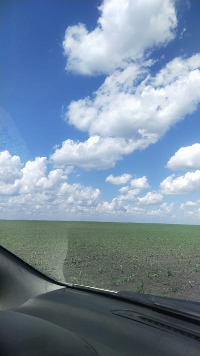 This image depicts a vast, green agricultural field under a bright, blue sky dotted with fluffy white clouds. The field appears to be a young crop, possibly corn, with small plants emerging from dark soil. The perspective suggests the photograph was taken from inside a vehicle, with a portion of the dashboard visible in the foreground. The horizon line is low, emphasizing the expansive sky and the seemingly endless field. The time of day appears to be daytime, with the sun casting light on the scene, creating a slightly shadowed effect on the dashboard. The weather seems fair and clear, with ample sunlight. No text is visible in the image. The location is identified as Майкөл ауылдық округі, Kazakhstan.
