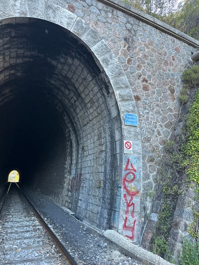 The image shows the entrance to a stone tunnel, identified by a blue sign as "Tunnel de Prafrance, Longueur 114m". The tunnel is part of a railway line, with tracks visible in the foreground entering the dark interior. The tunnel walls are constructed of rough-hewn stone blocks, with some sections showing signs of age and weathering. Graffiti is present on the exterior wall of the tunnel, including a red tag that appears to read "LOU". To the right of the entrance, ivy and other vegetation grow up the stone embankment. A circular sign with a red prohibition symbol indicates that bicycles are not allowed. The scene is outdoors, with trees visible at the top of the tunnel's entrance. The location is identified as Générargues, France.
