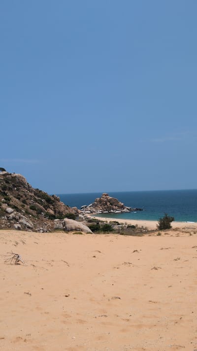 The image depicts a coastal scene near Phuoc Dinh, Vietnam, with the landscape oriented vertically. A wide expanse of clear, blue sky dominates the left side. The shoreline features a beach with light tan-colored sand, stretching from the bottom right upward, adjacent to the ocean. The ocean water transitions from a light turquoise near the shore to a deeper blue further out. Rocky formations are visible along the coastline, covered with sparse vegetation. A small tree stands at the edge of the beach.