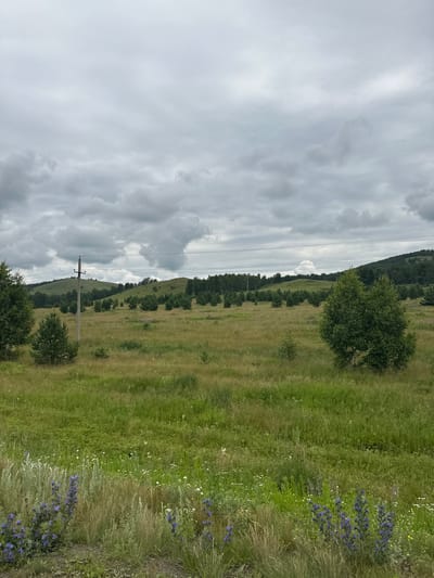 The image depicts a rolling landscape with a cloudy sky. In the foreground, there is a field of tall grass and wildflowers, predominantly purple and white. A few scattered trees and bushes dot the field. In the middle ground, a power pole stands tall with overhead wires stretching across the frame. Beyond the field, gently sloped hills covered with trees form the background. The overall impression is a serene, rural scene, possibly in the vicinity of Кужаново, Russia. There are no people or animals visible in the image.