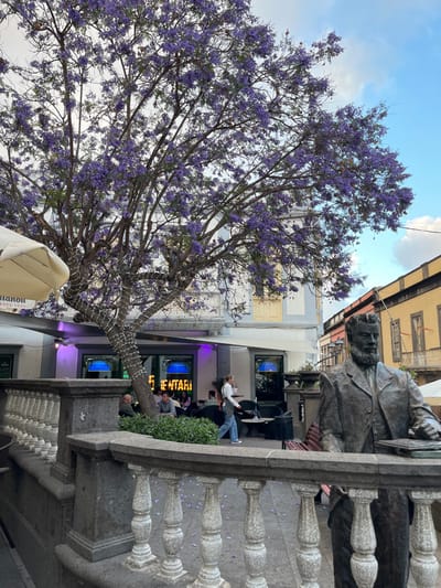 The image shows a large tree with purple flowers in full bloom, located in the city of Arucas, Spain, at coordinates 28.119, -15.524. The tree stands in front of a building with a white facade and a sign that reads "5 Entari." The building has a tiled roof. The tree is casting shade on the sidewalk. There are several people sitting on chairs and tables in front of the building, and a woman in a blue shirt and pants is walking past. In the foreground, a bronze statue of a man in a suit with a beard is sitting on a bench. The statue's right arm is outstretched, and the left hand is holding a book. The bench is facing the tree and the building. The sidewalk is paved with grey tiles and there are purple petals from the tree scattered on the ground. There is a stone railing in front of the building and the statue. The sky is a light blue with some clouds.