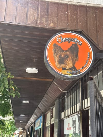 A tilted eye-level shot shows a brown-paneled building exterior. Hanging from above is an orange round sign reading "Cleopatra Pet Shop & Peluqueria Canina," featuring a dog's head. Along the building's facade are several circular white fixtures. A metal frame is visible above, with signage including "ROYAL CANIN." Green foliage is at the bottom of the frame.