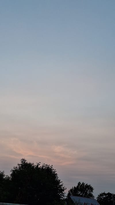 The image shows a serene sky at dusk over Nogliki, Russia. The upper portion of the sky is a pale blue, gradually transitioning to soft pink and gray hues near the horizon. wispy clouds are scattered across the sky, catching the fading sunlight. In the foreground, the dark silhouettes of trees and the roof of a building are visible against the colorful sky, suggesting a rural or suburban setting within the city. There are no people or animals in the frame. The overall atmosphere is peaceful and tranquil.