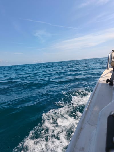 A forensic analysis of the image depicts a daytime scene on open waters off the city of Sueca, Spain. The perspective is from the starboard side of a moving white boat, with its hull and a section of a metallic railing or support visible in the right foreground. The boat generates a substantial white wake and foam along its side as it traverses the deep blue, moderately choppy water. The sea extends to a clear horizon line, where a large, dark, indistinct object, possibly a distant ship or offshore structure, is faintly visible to the left of center. The sky above is a light blue, featuring sparse, wispy white clouds and several faint contrails. No individuals are present in the frame.