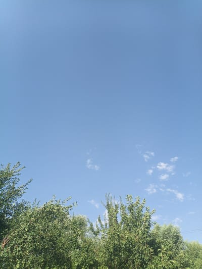The image depicts a clear blue sky with a few scattered white clouds. In the lower portion of the frame, lush green trees and foliage are visible, suggesting an outdoor environment. The scene is devoid of any people, animals, or specific urban features that would pinpoint a precise location within the city of Нуъмон Розиқ, Tajikistan. The overall impression is one of natural scenery under a bright sky.