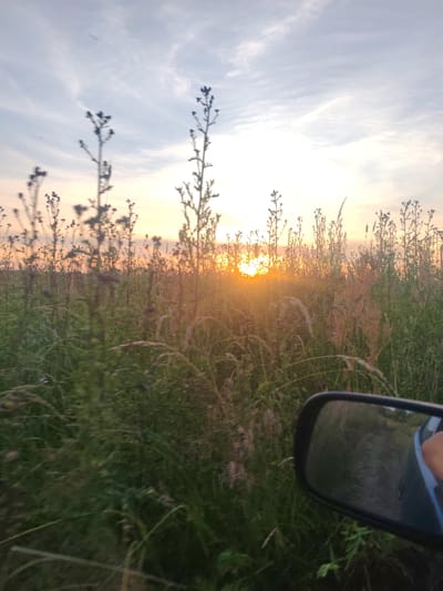 A side-view mirror of a vehicle reflects a dirt road and a hand wearing a light blue sleeve. The vehicle is traveling through a grassy field with tall weeds and wildflowers during sunset. The sun is low on the horizon, casting a warm glow through the vegetation. The sky is partly cloudy with wispy clouds. The image was taken in the vicinity of Улукаўскі сельскі Савет, Belarus.