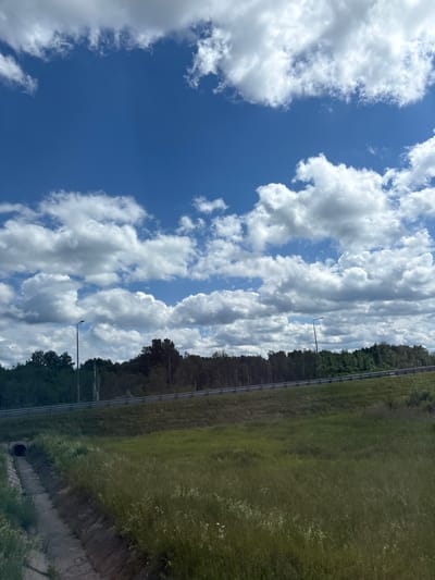 The image shows a clear blue sky filled with fluffy white clouds. In the mid-ground, a dense line of trees forms a backdrop against the sky, with a metal guardrail running along the edge of a grassy embankment. Two streetlights are visible, one on the left and another further to the right. In the foreground, a concrete drainage ditch runs diagonally from the bottom left corner, containing some water and debris. The ditch is bordered by tall green grass, with scattered wildflowers. The overall scene depicts a natural roadside environment, possibly on the outskirts of a settlement. The image was taken in Myasnoi Bor, Russia.