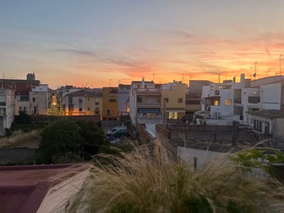 The image depicts a sunset over a residential area in Vilanova i la Geltrú, Spain. The sky is painted with hues of orange, pink, and blue from the setting sun, with wispy clouds scattered across it. Below the sky, a dense cluster of buildings, mostly two to three stories high, fills the cityscape. The buildings exhibit a variety of colors, including yellow, white, and orange, and are adorned with numerous television antennas. A street lined with lights runs through the center of the town, leading towards the horizon. In the foreground, out-of-focus tall grasses obscure parts of a rooftop, adding a sense of depth and foreground interest. The overall scene conveys a peaceful, urban evening ambiance.