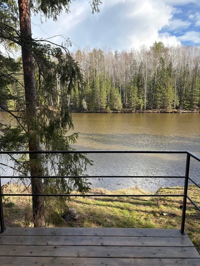The image displays a serene natural landscape viewed from what appears to be a balcony or deck. In the immediate foreground on the right, dark wooden planks form a surface, bordered by a black metal railing that extends across the frame. A large coniferous tree, likely a pine or spruce, with a thick trunk and green branches, occupies the left foreground, partially obscuring the scene.
Beyond the railing, a calm body of water, possibly a lake or a wide river, stretches across the mid-ground. The water has a brownish-green hue and its surface shows subtle ripples, reflecting the sky and surrounding trees. On the far side of the water, a dense forest lines the opposite bank. This forest comprises a mix of tall, slender deciduous trees with light-colored, bare trunks, interspersed with darker green coniferous trees, suggesting either early spring before leaf-out or late autumn. The sky above, visible in the upper left, features patches of blue and soft white clouds.
Bright natural sunlight illuminates the scene, indicating daytime. A grassy, slightly sloped bank leading down to the water is visible beneath the railing on the right. No people or specific activities are depicted, contributing to the tranquil and natural atmosphere. The scene evokes a sense of peaceful observation of nature, consistent with a temperate climate in a location like Mishkino, Russia. No discernible text is visible.