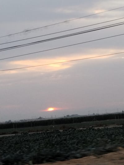 A dim, hazy sunset illuminates a flat landscape. Fields stretch to the horizon beneath a heavy sky pierced by power lines. The setting sun casts a soft, orange glow on the lower cloud layer. A row of evenly spaced poles runs along a darker green field in the middle ground, hinting at agricultural infrastructure. The ground in the foreground appears uneven and possibly covered in low-lying vegetation. The overall image is muted and quiet.