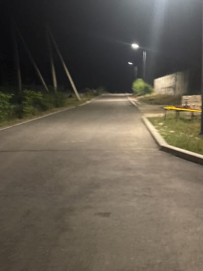 The image depicts an asphalt road at night, illuminated by streetlights. On the left side of the road, there are several tall, thin objects that appear to be poles or trees, with some green foliage at their base. The road extends into the distance, curving slightly to the right. On the right side of the road, there is a concrete wall or structure, and beyond that, some grass and a yellow and red barrier or railing. The overall scene suggests an outdoor area, possibly a park or a pathway in a less developed part of a city. The lighting indicates it is nighttime, and the environment appears somewhat industrial or utilitarian due to the concrete structure and barrier. There are no visible people or animals in the image.