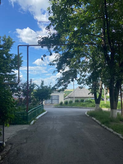 The media file depicts an outdoor scene, likely in a residential area, with a strong emphasis on natural elements and infrastructure. Dominant subjects include lush green trees, a bright blue sky with fluffy white clouds, and a paved pathway. The trees, with their dense foliage, frame the top and sides of the image, suggesting a sunny day. Power lines are visible, crisscrossing the sky and indicating the presence of human settlement.
Further into the scene, a simple building with a grey roof is visible, accompanied by a green metal fence. The pathway, made of asphalt, runs alongside the fence and extends into the distance. There are no people clearly visible, though a figure in dark clothing is partially seen in the distance behind the trees, their activity unclear.
The time of day appears to be daytime, with the sun casting light and shadows. The weather seems pleasant, with clear skies and clouds. The overall mood is tranquil and natural, with a touch of rural or suburban atmosphere due to the presence of the building and power lines. The location cues, such as the building style and the prevalence of trees, align with a setting in Soroca, Moldova, consistent with the provided location context. No visible text is present in the image.