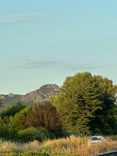 The image depicts a daytime outdoor scene in La Crau, France, featuring a mountainous landscape in the background, lush green trees and vegetation in the mid-ground, and a car partially visible among tall, dry grass and wildflowers in the foreground. The sky is a clear, pale blue with a few wispy clouds. A prominent rocky mountain range dominates the horizon, with a red and white striped pole or marker visible on its slope. A large, dense evergreen tree stands to the right of the mountain. In the foreground, a white car is parked on a road or shoulder, with its front end visible. The overall setting appears to be a rural or semi-rural area, likely a roadside view.