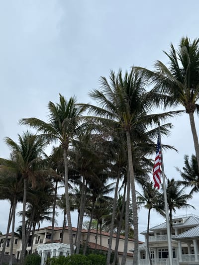 The image depicts an outdoor scene in Naples, United States of America, under an overcast, light grey sky. Numerous tall palm trees with green and partially dried fronds dominate the frame, their slender, dark trunks extending vertically from bottom to top. Amidst the palm trees, on the right side of the image, an American flag is displayed on a silver flagpole, hanging largely unfurled with its red and white stripes and a portion of the blue field with white stars visible. Through and below the palm foliage, two multi-story buildings are observable. The structure on the left features light-colored walls and a terracotta-tiled roof, while the building on the right is white with grey gabled roofs, multiple windows, and balconies with white railings. Green shrubbery is present at the bottom of the scene. No individuals are visible, and no specific actions or interactions are occurring. The environment is tropical, consistent with a coastal residential or resort area.