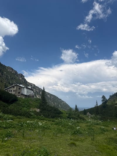 The image displays a mountainous scene in Govedartsi, Bulgaria, under a bright blue sky with scattered white clouds. A building, likely a mountain hut or lodge, is nestled on a steep, green, and rocky slope. The building has a white upper story and a stone-clad lower story with multiple windows. Trees, predominantly evergreens, are scattered across the mountainside. The foreground shows a lush, grassy meadow dotted with white and purple wildflowers. In the upper right portion of the frame, a person is visible, appearing to be sitting on the grass. The overall impression is of a serene, natural landscape during the daytime, possibly late spring or summer, given the wildflowers and green vegetation. No visible text is present in the image.