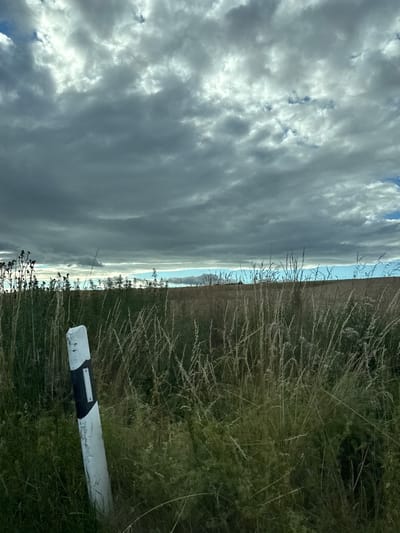 The image depicts a roadside view in Oberwetz, Germany, oriented vertically. On the right side of the frame, tall, dry grasses dominate the foreground, with some green foliage interspersed. A white marker post with black diagonal stripes is partially visible in the bottom right corner, set within the tall grasses. The post appears weathered and scratched.
To the left of the grasses, a thin strip of land is visible, possibly a field or embankment, leading to a hazy horizon. Beyond this, a vast sky filled with dramatic, layered clouds stretches across the majority of the frame. The clouds range in color from dark gray to bright white, with patches of blue sky visible in the upper left. The lighting suggests it is either early morning or late afternoon, with the sun's rays filtering through the clouds, creating a soft, diffused light. The overall impression is one of a natural, open landscape under a dynamic sky. There is no visible text in the image.