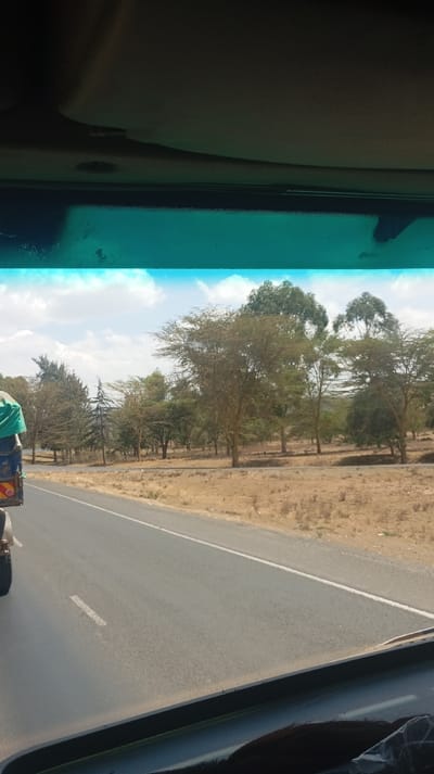 The image depicts an exterior road scene captured from inside a vehicle, with the upper portion showing the vehicle's gray headliner and the top edge of a tinted windshield. The lower portion of the windshield provides a view of an asphalt road in Viwandani ward, Kenya, extending into the background. A single white dashed line marks the center of the visible lane, indicating a two-lane road.
To the immediate left, the rear section of a separate vehicle is partially visible. This vehicle features a blue body, a partially visible wheel, and a green tarp covering a payload. A person wearing a green garment is visible above the blue bodywork, positioned in or on the vehicle. Red and white reflective markings are present on the rear of this vehicle.
To the right of the road, the shoulder is characterized by dry, light brown soil and sparse, low-lying vegetation. Beyond the shoulder, a dense line of trees of varying heights and foliage types (including some with lighter, possibly yellowish-green leaves and others appearing darker green) stretches into the distance, suggesting a wooded or semi-arid environment. The sky above is partly cloudy with significant blue patches.