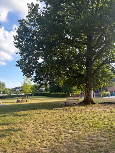 The image depicts a sunny outdoor scene, likely during the daytime, in Novalaise, France. The primary subject is a large, mature tree with lush green foliage, casting a dappled shadow across a grassy area. Several people are scattered throughout the scene, some sitting on the grass and others appearing to be walking or milling about. One notable object is a wooden bench placed near the tree. In the background, houses and buildings are visible, nestled amongst greenery, suggesting a semi-rural or suburban setting. The sky is blue with scattered white clouds, indicating fair weather. The overall mood appears relaxed and leisurely, consistent with a summer day spent outdoors. There is no visible text in the image.