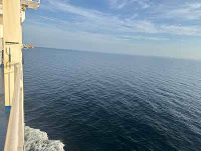 An outdoor, eye-level, wide shot captures the side of a white ship sailing on a vast, deep blue ocean. The ship's white railing and a section of its hull are visible on the left side of the frame, with white foam churning in the water beneath the railing, indicating movement. A bright orange lifeboat is deployed and extended out from the ship on the left. The horizon line is clearly defined, separating the deep blue sea from a pale blue sky with scattered, wispy white clouds. The light suggests it is daytime. The location is unknown, but it is a scene at sea.