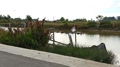 The image shows a riverbank scene in Tanjong Krueng, Indonesia. In the foreground, a concrete embankment runs along the left side of the frame, with a paved road to its left. Lush green grass grows along the edge of the embankment. On the right side of the embankment, near the water's edge, a dark-colored boat is partially submerged and tilted on its side, surrounded by tall grass. A wooden structure with a series of lights is erected over the water, and a tattered flag, appearing to be red, white, and purple, is attached to a pole on this structure. The river itself is calm with a murky, brownish-green hue. Across the river, the opposite bank is lined with trees and vegetation, with some scattered buildings and what appear to be agricultural fields in the background under a bright, overcast sky. The overall impression is a rural or semi-rural riverside setting.
