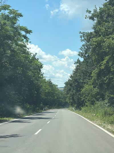 An asphalt road with white dashed lines stretches into the distance, flanked by dense green trees on either side. The sky above is a vibrant blue, dotted with fluffy white clouds. The scene appears to be a rural or semi-rural area, possibly in Garchinovo, Bulgaria, given the context. There are no people or vehicles visible in the image, and the overall impression is one of a clear, sunny day on a tree-lined road.