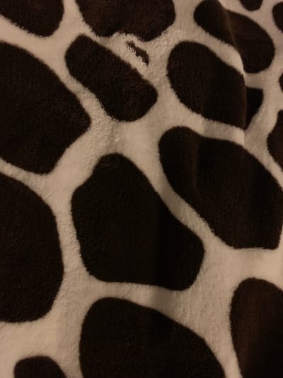 The image displays a close-up, overhead view of a soft, plush fabric with a brown and white cow print pattern. The texture is fuzzy, with individual fibers visible, creating a slightly blurred effect. The pattern consists of irregular, rounded brown patches on a white background, reminiscent of a cow's markings. The lighting appears to be dim, casting subtle shadows and highlighting the texture of the fabric. There are no people, animals, or specific objects present in the scene, other than the fabric itself. The image does not provide any information about a specific location within Чыжэвіцкі сельскі Савет, Belarus, as it is a generic pattern.