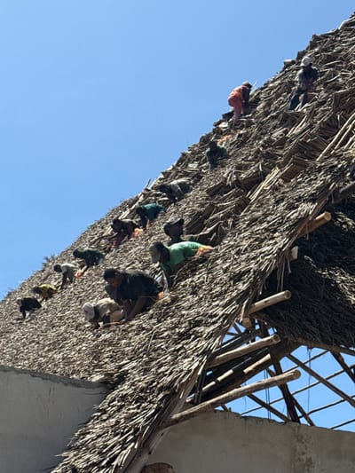 The image depicts an ongoing construction or re-thatching operation on a large, steeply pitched roof in Nungwi, Tanzania, under a clear blue sky. Approximately fifteen to twenty individuals, primarily appearing as adult males, are distributed across the extensive surface of the roof. They are engaged in manual labor, predominantly crouching or kneeling, suggesting the task of applying or securing thatch. The roof is constructed from layers of dried palm fronds or similar natural vegetation, with wooden structural beams visible where the thatch is less dense, particularly towards the lower right. The workers are dressed in casual attire, including t-shirts, shirts, and trousers, with several wearing hats or caps. Their positions on the roof suggest a coordinated effort, with the thatch material appearing denser towards the lower sections and progressively less complete towards the upper and right portions of the frame, indicating active work progression. A segment of a light-colored, possibly plastered, wall is visible at the lower left edge of the roof structure. The scene is illuminated by daylight.
