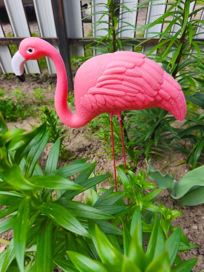 An eye-level, medium shot captures a vibrant pink plastic flamingo garden ornament standing amongst lush green foliage and the sandy soil of a garden bed. The flamingo, facing left, has a curved neck and a white beak with a black tip. Its body is detailed with sculpted feathers, and it stands on two thin red legs. In the background, a portion of a white corrugated metal fence is visible, along with more greenery. The scene appears to be outdoors, likely in a residential garden, and is located in the city of Puchezh, Russia.
