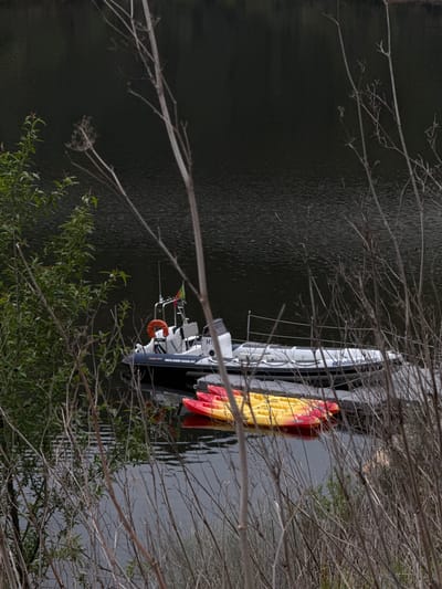 The image displays a body of water in Mogadouro, Portugal, with a white rigid-hull inflatable boat (RIB) and two kayaks moored to a dark grey floating platform. The RIB, positioned in the mid-ground, features a white hull and grey inflatable tubes. A "HONDA" emblem is visible on its outboard motor cowl. A Portuguese flag flies from a pole on the stern superstructure, which also displays the letters "MT." An orange lifebuoy is secured to the stern. Identifying text "HIGHLANDER-13458-5PT" is present on the vessel's hull, and partial lettering suggesting "Anatour..." is visible on the inflatable tube. Beneath the RIB, a yellow kayak and a red kayak are visible, floating adjacent to the platform. The foreground is dominated by vegetation: green leafy shrubs are present on the left, while numerous thin, dry, bare plant stalks occupy the right and central areas, partially obscuring the watercraft. The water surface appears dark and still, reflecting ambient light. No individuals are present in the scene.