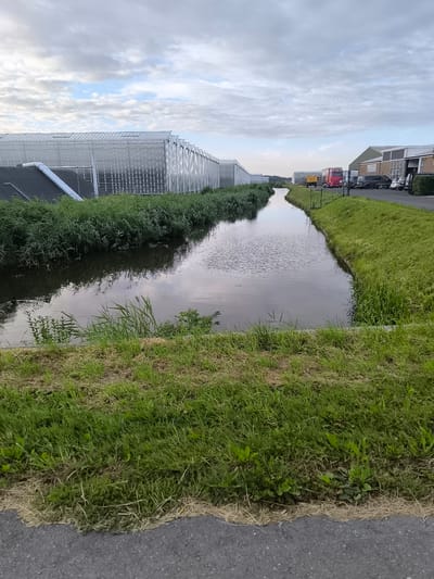 The image depicts an outdoor scene at dusk in Wervershoof, Netherlands, characterized by a narrow canal flowing through an industrial or agricultural area. On the left, a long, modern greenhouse structure with a glass roof stretches into the distance, bordered by tall, dense green reeds. The canal's dark water reflects the overcast sky and the surrounding vegetation. On the right bank of the canal, a grassy slope leads up to a paved area where several vehicles are parked, including a red and yellow truck, a dark van, and a few smaller cars. Behind the vehicles, a building with a green roof and brick facade is visible. The sky is filled with a mixture of clouds and patches of lighter sky, suggesting the end of the day. The foreground is dominated by a strip of asphalt, transitioning into a dense growth of grass and weeds.