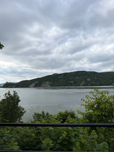 The image shows a wide river with a forested hillside in the background under a cloudy sky. On the left side of the hillside, a fortress-like structure is visible. Several wind turbines are dotted across the top of the hill. In the foreground, there is dense green foliage and a black railing. The scene appears to be a landscape view of the Danube River near Golubac, Serbia, with the Golubac Fortress visible on the left.
