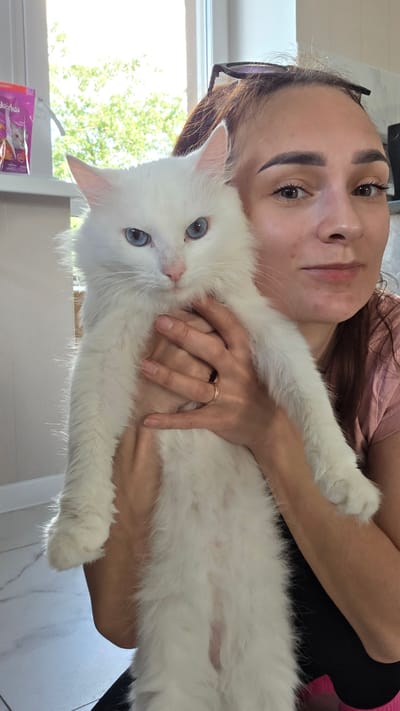 A woman holds a long-haired white cat with blue eyes. The woman has dark brown hair, worn up, and is wearing a pink shirt. Her face is partially visible as she looks towards the camera, with glasses perched on her head. The cat is held vertically in her arms, its body long and fluffy. The background shows a window with greenery visible outside, suggesting an indoor setting with natural light. The floor appears to be tiled. This scene is not located in Старошареево, Russia.