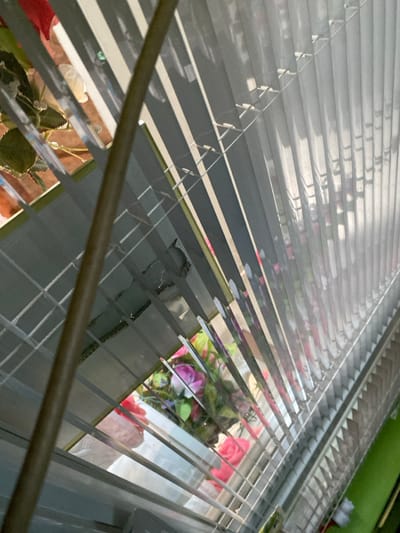 The image depicts a scene observed from an interior location within the city of Staliyska mahala, Bulgaria, looking outward through partially opened horizontal Venetian blinds. The blinds are light gray or white, angled to reveal alternating strips of an exterior view and casting distinct shadow lines. Through these apertures, artificial floral arrangements are visible, characterized by pink, red, and purple blossoms mixed with green foliage. A dark, slender, cylindrical object, possibly a plant stem or support, extends diagonally across the left foreground. No human subjects or dynamic actions are present. The scene is illuminated by natural daylight, contributing to strong contrasts.