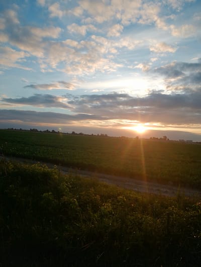 This is a landscape photograph taken in the city of Pinsk, Belarus, depicting a rural scene at sunset. The sky is filled with a mixture of blue and white clouds, with the setting sun casting a warm glow and visible rays of light through a gap in the clouds towards the horizon. Below the sky is a vast, flat agricultural field, primarily green, suggesting it is either a crop field or pasture. The foreground is dominated by dense green vegetation, appearing somewhat wild and uncultivated, with the texture of grass and leaves clearly visible. A dirt path or road runs along the edge of the cultivated field, separating it from the foreground vegetation. The horizon line is low in the frame, emphasizing the expansive sky and the wide-open landscape. In the distance, along the horizon, a line of trees and structures, possibly buildings or industrial facilities, are silhouetted against the bright sky. The lighting suggests it is late afternoon or early evening, with the sun's rays creating a dramatic effect on the scene. There are no people or animals visible in the image.