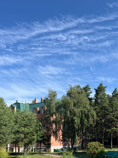 In the city of Lebyazhye, Russia, a scene unfolds under a bright blue sky adorned with wispy white cirrus clouds, stretching across the upper half of the frame. The lower half is dominated by a multi-story building with a distinctive green tiled roof and red brick facade. The building features multiple dormer windows and two prominent red brick chimneys.

In front of the building, a variety of trees stand tall. To the left, several evergreen trees, likely spruce or pine, are densely packed. To the right of the building, a large deciduous tree, possibly a birch, with its characteristic white bark and lighter green foliage, casts shadows. Behind these trees, a dense stand of tall, dark green coniferous trees forms a natural backdrop.

The foreground shows a grassy area with a paved walkway. To the far right, a portion of a teal-colored bench is visible. A small bush with pink flowers is situated near the bench and the coniferous trees. The overall impression is of a tranquil, somewhat rural setting, possibly a residential area or a park, on a clear, sunny day. No people are visible in the image.
