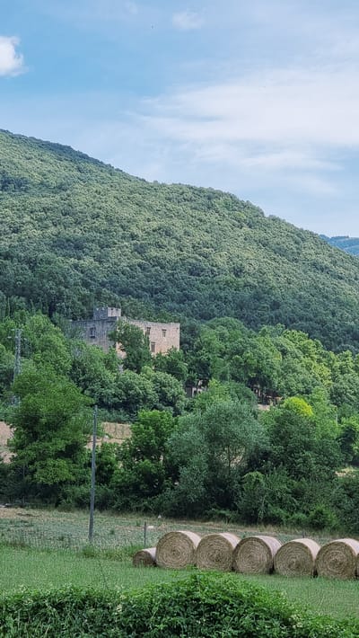 In Montagut i Oix, Spain, a stone castle stands nestled amongst lush green trees on a hillside. In the foreground, several round bales of hay lie in a grassy field under a partly cloudy blue sky. A solitary utility pole is visible to the left of the castle, and a faint fence runs through the field. The castle appears to be an old, possibly historic structure with multiple windows and battlements. The overall scene depicts a rural landscape with a touch of history.
