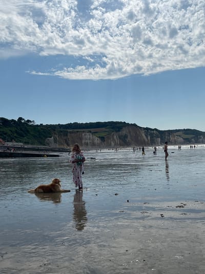 The image depicts a beach scene at Hautot-sur-Mer, France, under a partly cloudy sky. In the foreground, a golden retriever lies in shallow water. To its right, a woman wearing a long, patterned dress stands in the water, holding a round, striped object. The wet sand reflects the sky and figures. In the midground, numerous people are scattered across the beach, some walking, others swimming or playing. The background features a dramatic cliff face covered in green vegetation, with buildings visible along the coastline at its base. The overall impression is of a sunny day at a popular seaside resort.