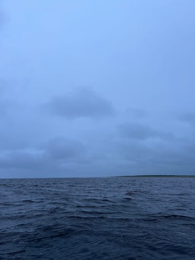 The image depicts a wide expanse of dark, choppy water under a heavily overcast sky. The horizon is visible as a thin, flat line, with a strip of green landmass along the far right edge of the frame. The water occupies the majority of the lower half of the image, with visible ripples and small whitecaps suggesting a moderate breeze. The sky above is a uniform pale blue-gray, with amorphous clouds obscuring any clear sunlight. The overall impression is one of a somber, possibly cold, maritime environment. The location is identified as Yandova Guba, Russia, a settlement on the coast. No people or specific objects are discernible in the scene.