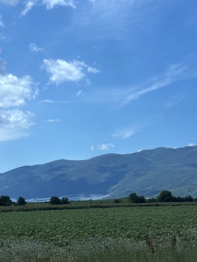 This image, depicting a rural landscape in the vicinity of Zimnitsa, Bulgaria, presents a clear blue sky with varied cloud formations. The upper left quadrant displays scattered white cumulus clouds, while the upper right features more attenuated, wispy cirrus clouds. A range of dark green, densely forested mountains spans the middle ground horizontally. Below the mountain range, a lighter, somewhat hazy band is visible, suggesting a distant plain or cultivated area. A prominent strip of darker green trees or dense foliage forms a transition zone across the midground. The lower half of the frame is dominated by a large, uniformly green agricultural field cultivated with low-lying crops. The immediate foreground shows a narrow band of drier, lighter green grass with scattered taller, brown, desiccated plant stalks. No individuals, animals, or artificial structures are discernible within the frame.