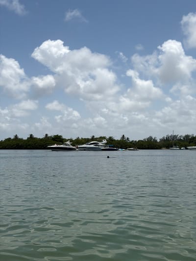 This media file shows a scene of boats docked along a tree-lined shore. The water in the foreground is rippling, reflecting the light and creating a textured surface. Several boats of varying sizes are visible, some appearing to be yachts. A dense line of green trees and foliage forms the background along the shore, with some palm trees interspersed. The sky above is a light blue, dotted with fluffy white clouds, suggesting fair weather and possibly midday. The orientation of the image is vertical, as if captured with a phone held sideways. No people are clearly identifiable, and there is no visible text. The scene evokes a peaceful, leisurely atmosphere, likely a marina or waterfront area in a warm climate. Given the location context of North Miami, Florida, it's probable this is a typical coastal or intercoastal waterway scene.