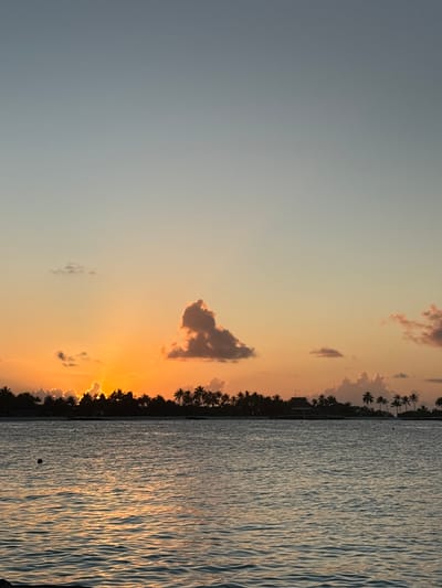 The image depicts a sunset over the ocean near Himmafushi, Maldives. The sky displays a gradient of color, transitioning from light blue-grey at the top to vibrant orange and yellow near the horizon, indicative of a sunset. A prominent, irregularly shaped cumulus cloud, dark against the bright sky, is centrally located above the horizon line. Several smaller clouds are scattered across the sky, particularly to the right.
The horizon features a dark silhouette of a landmass densely covered with numerous palm trees. The sun is partially visible behind the left portion of this tree line, casting bright orange and yellow light that diffuses upwards and reflects off the undersides of some clouds. Subtle silhouettes of buildings or structures are discernable within the tree line.
The foreground is dominated by the calm, dark blue-grey ocean water, which exhibits slight ripples and reflects the orange and yellow hues of the sunset. A dark, spherical buoy is present in the lower-left quadrant of the water. No individuals or specific actions are discernible in the scene.