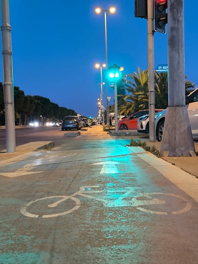 The image depicts a street scene at dusk in Kartal, Turkey. The foreground features a wet asphalt surface marked with a bicycle lane symbol and an arrow pointing forward, illuminated by a greenish-blue light, possibly from a traffic light or street lamp.

In the background, cars are visible on the road, and streetlights cast a warm glow. Palm trees and dense foliage line the street, suggesting a coastal or Mediterranean climate. Traffic lights are illuminated, with one showing green and another red. A parking sign with the letter "P" is also visible. The sky is a deep blue, indicating the transition from day to night. The overall mood is tranquil, with a sense of urban life winding down as evening sets in. There are no people clearly visible in the frame.