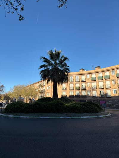 The image shows a street scene in Azuqueca de Henares, Spain. A multi-story brick building with numerous windows and awnings is situated beside a circular road with a center island planted with greenery and a palm tree. The sky is clear blue. An airplane contrail is visible in the sky. The road is dark asphalt. The lighting suggests a sunny day.