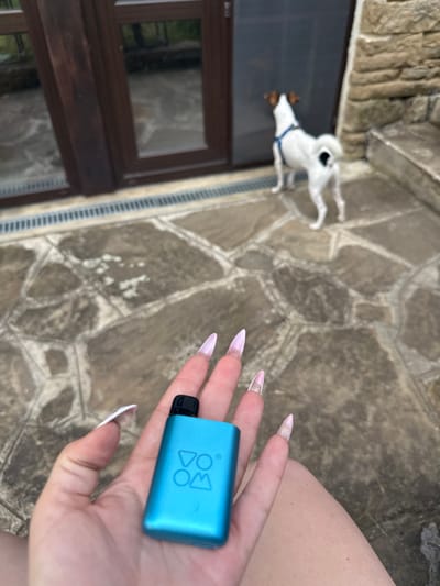 An outdoor scene in Bahretsi, Bulgaria, depicts a low-angle perspective of a patio and building exterior. In the foreground, a light-skinned human hand, featuring long, pointed, light pink acrylic nails, holds a small, rectangular, metallic teal-blue VOOM vape device with a black mouthpiece. A bare human leg is partially visible to the right of the hand. The ground consists of an irregular flagstone patio with varying shades of grey and brown stones, exhibiting areas of dampness. A small, white dog with brown markings, wearing a blue harness, stands in the midground with its back to the viewer, gazing intently at a dark screen door positioned slightly ajar to the left of the main entrance. The dog's tail is curled upwards. Behind the dog, a building facade includes dark brown wooden-framed double doors or large windows, reflecting the outdoor environment. A linear drainage grate runs parallel to the building's base. To the far right, a stacked stone wall and stone steps ascend.