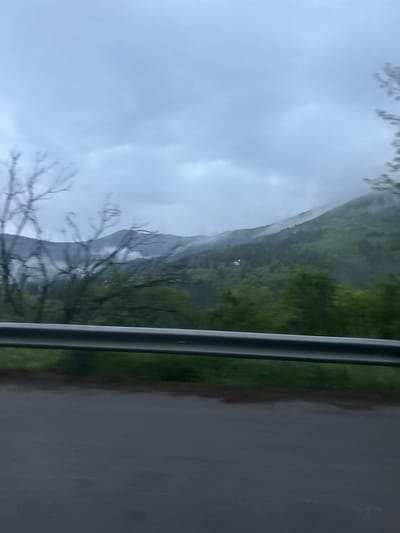 The image shows a view from a vehicle, likely a train or bus, with a metal support bar visible in the foreground. The landscape features a hillside covered with green trees, fading into a misty, overcast sky. There are bare tree branches in the lower part of the scene, partially obscuring the view. A road or pavement is visible on the right side of the frame. Based on the prompt, the location is likely in or near Lukovo, Bulgaria.
