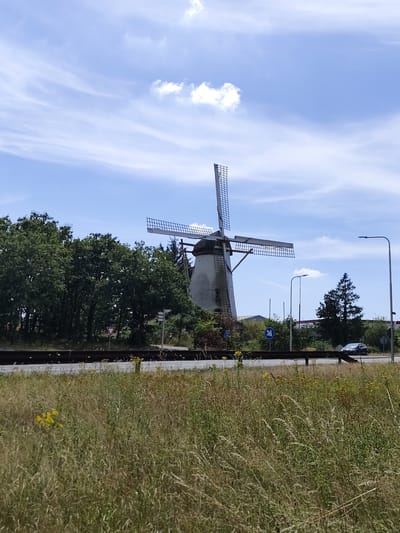 The image shows a historic windmill in Reek, Netherlands, under a bright blue sky with scattered white clouds. The windmill, which appears to be made of stone and painted white, is tall with four sails. It is surrounded by lush green trees, suggesting a natural or semi-rural setting. In the foreground, there is a field of tall, dry grass with a few yellow wildflowers. A road runs horizontally across the middle ground of the image, with a dark metal barrier separating it from the grassy field. A dark blue car is visible driving on the road. Several streetlights and road signs are also present along the roadside. The overall scene is serene and picturesque, showcasing a blend of historical architecture and natural landscape.